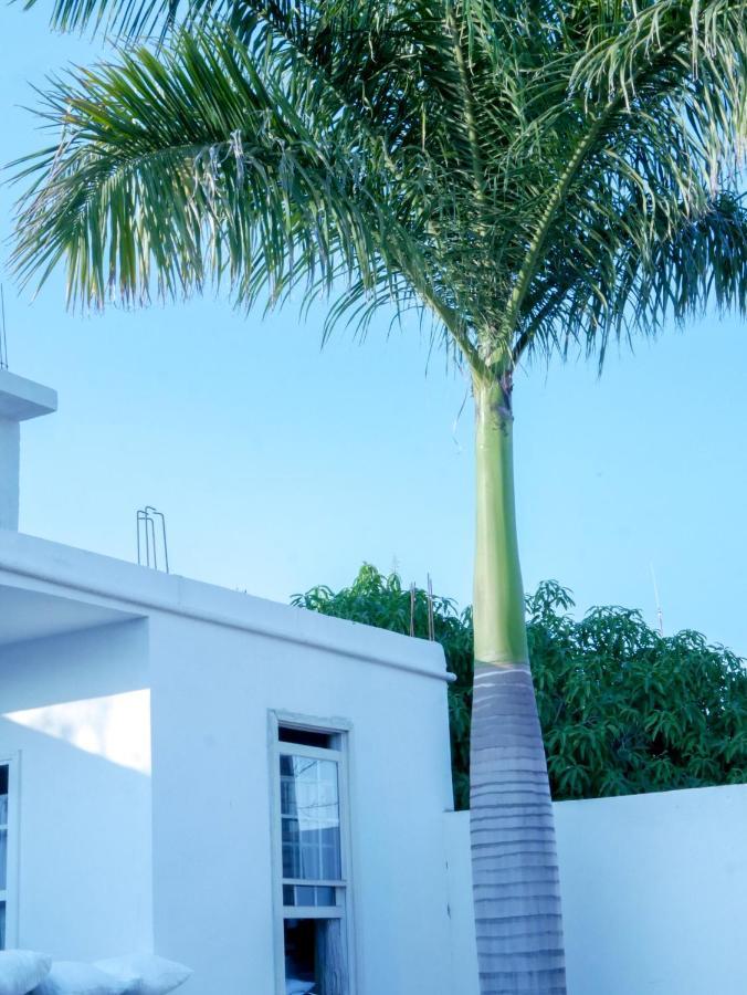 Hotel La Huerta Río Verde Εξωτερικό φωτογραφία